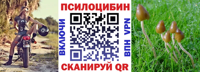 Галлюциногенные грибы ЛСД  Тавда 