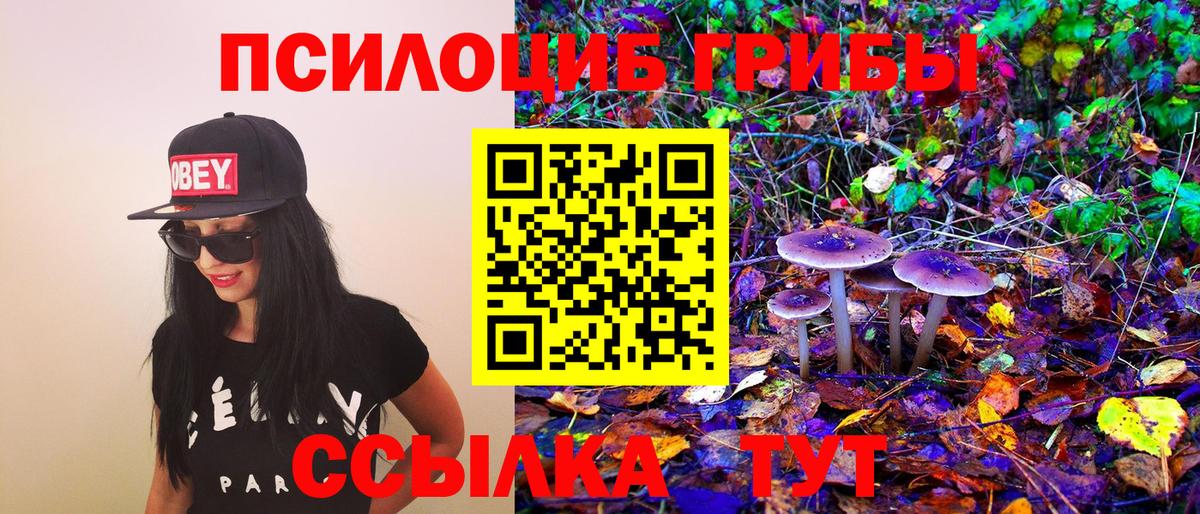 Тавда  Псилоцибиновые грибы ЛСД  Вход с VPN  Псилоцибиновые грибы ЛСД 