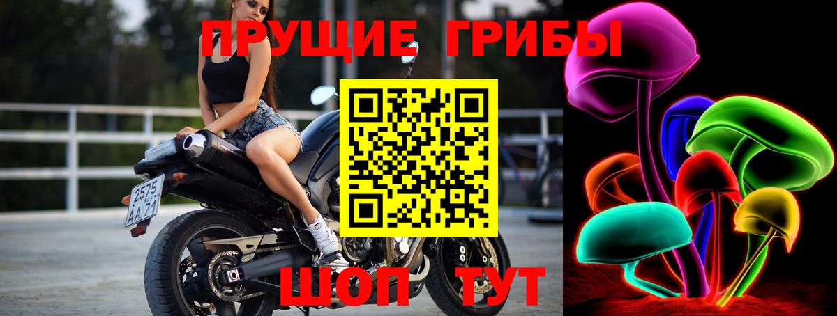 Псилоцибиновые грибы Cubensis Тавда